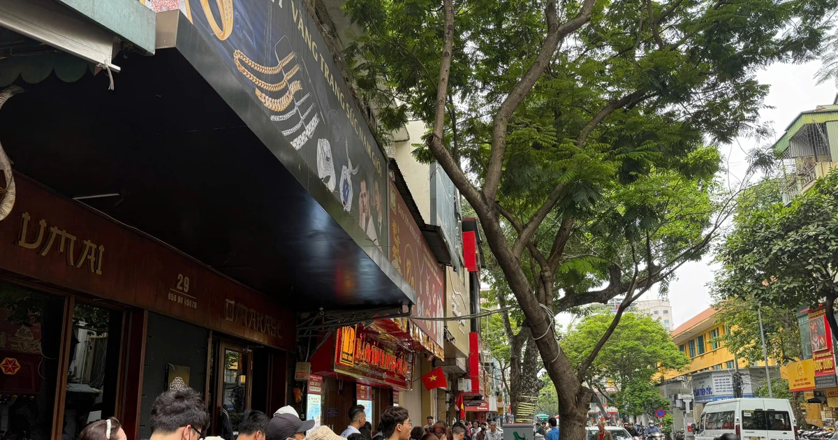 Giá vàng bạc 2025 biến động mạnh: Đầu tư rủi ro, lỗ nặng vì "đu đỉnh"